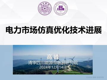 2024年电力市场仿真优化技术进展报告.pdf