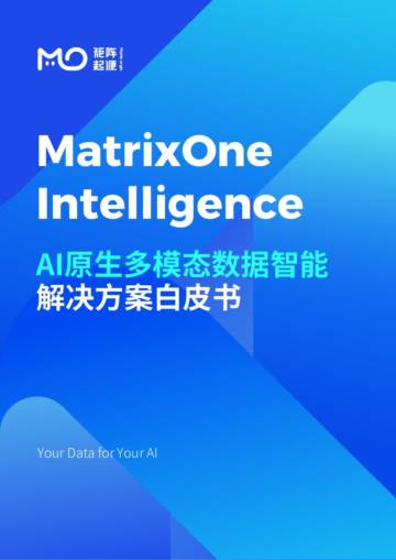 AI原生多模态数据智能解决方案白皮书.pdf