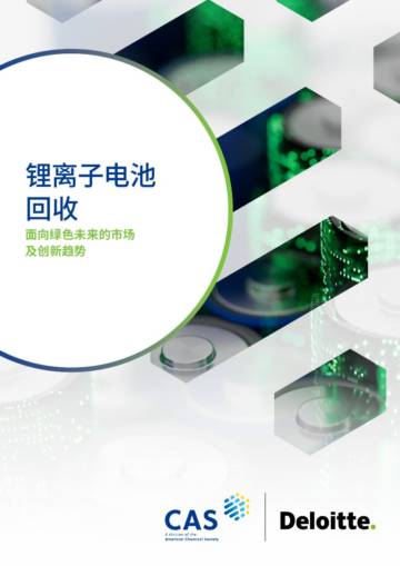 2025年锂离子电池回收：面向绿色未来的市场及创新趋势报告.pdf