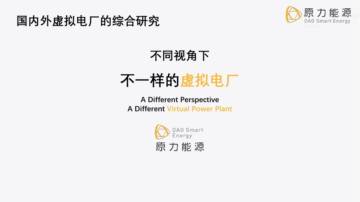 国内外虚拟电厂的综合研究报告——不同的视角不一样的虚拟电厂.pdf
