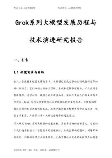Grok系列大模型发展历程与技术演进研究报告.pdf
