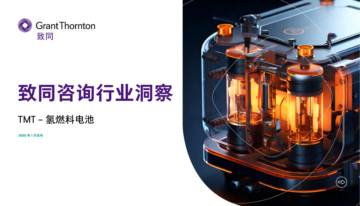 TMT——氢燃料电池行业洞察.pdf