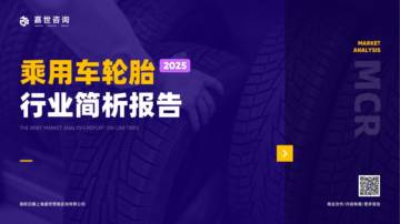 2025年乘用车轮胎行业简析报告.pdf