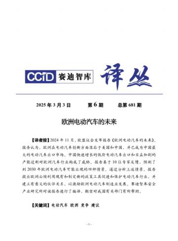 欧洲电动汽车的未来.pdf
