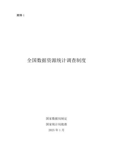 2025年全国数据资源统计调查制度.pdf