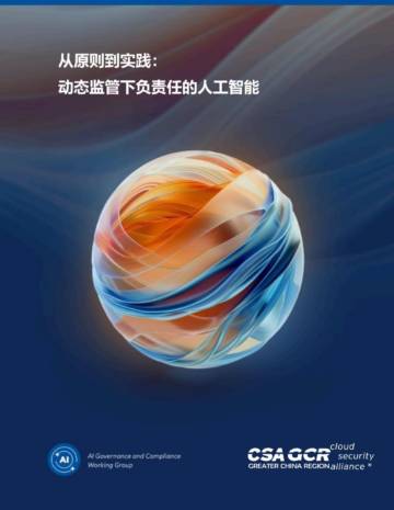 2025年从原则到实践：在动态监管环境下负责任的人工智能报告.pdf