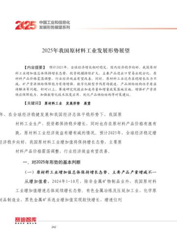 2025年我国原材料工业发展形势展望.pdf