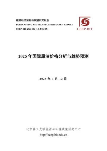 2025年国际原油价格分析与趋势预测报告.pdf
