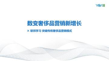 突破传统奢侈品营销模式-数变奢侈品营销新增长.pdf