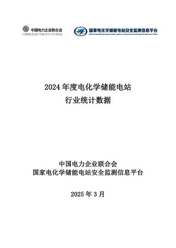 2024年度电化学储能电站行业统计数据报告.pdf