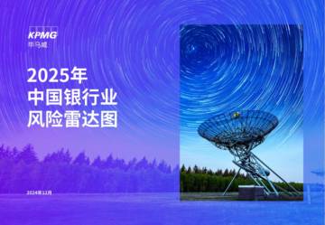2025年银行业风险雷达图.pdf