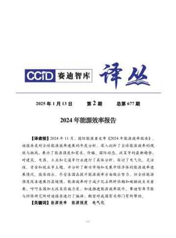 2024年能源效率报告.pdf