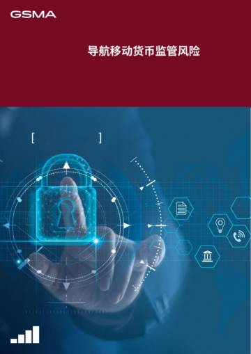 2024移动货币监管风险研究报告：复杂性及现实案例.pdf