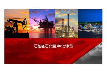 石油&石化数字化转型.pdf
