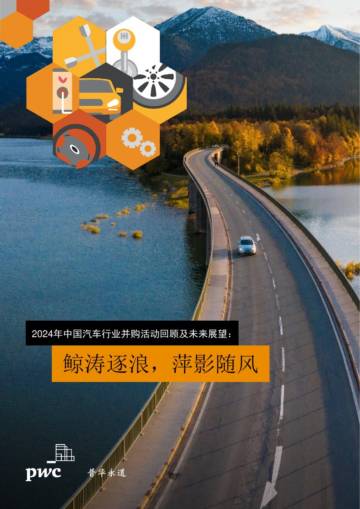 2024年中国汽车行业并购活动回顾及未来展望：鲸涛逐浪，萍影随风.pdf