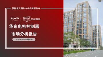 华东电机控制器市场分析报告.pdf