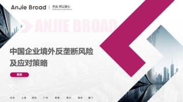 2024年中国企业境外反垄断风险及应对策略报告.pdf