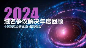 2024域名争议解决年度回顾.pdf