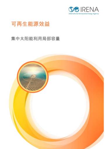 2025年可再生能源效益报告：集中太阳能利用局部容量.pdf