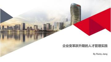 人力资源总监：企业变革跃升期的人才管理实践.pdf