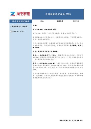 中国储能研究报告2025.pdf