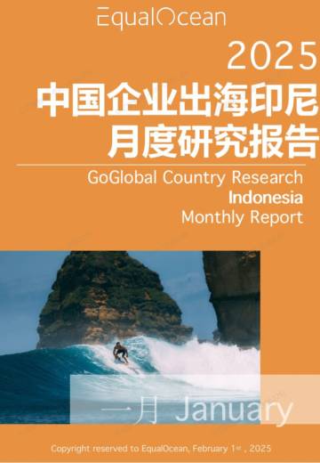 2025中国企业出海印尼月度研究报告.pdf