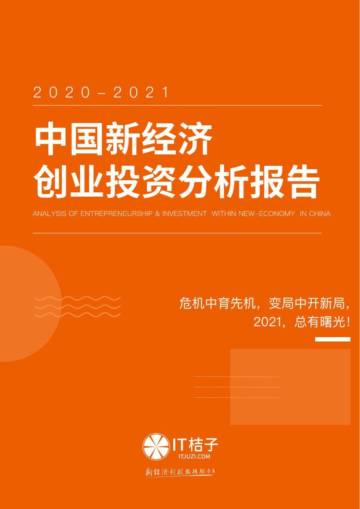 2020-2021中国新经济创业与投资分析报告.pdf