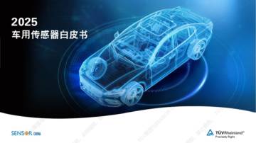 莱茵：2025车用传感器白皮书.pdf