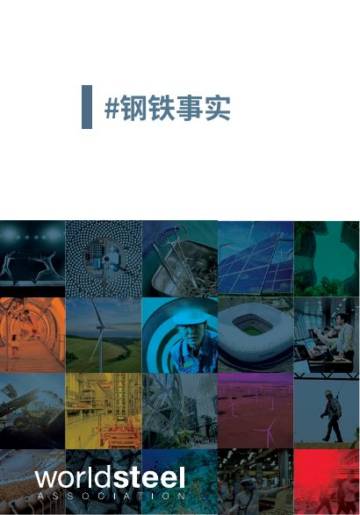 2024钢铁：为世界添彩（英文）.pdf