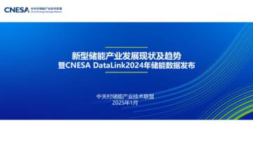 2024年储能数据发布报告.pdf