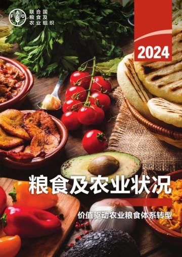 2024年粮食及农业状况（英文）.pdf