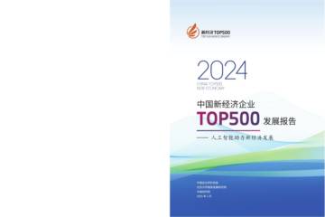 2024年中国新经济企业top500发展报告：人工智能助力新经济发展.pdf