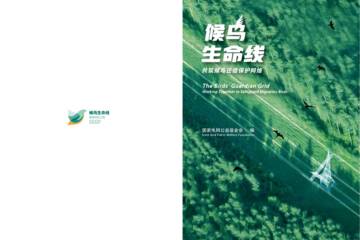候鸟生命线—共筑候鸟迁徙保护网络.pdf