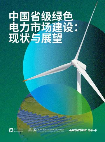 2025年中国省级绿色电力市场建设：现状与展望报告.pdf