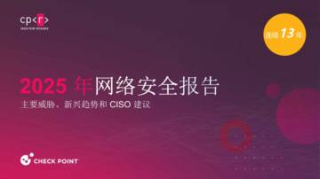 2025年网络安全报告.pdf