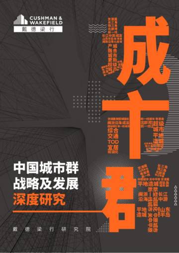 中国城市群战略及发展深度研究.pdf