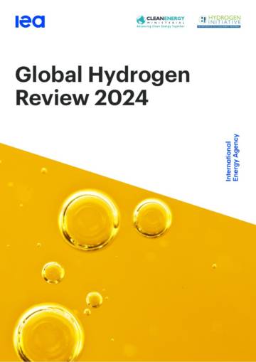 2024年全球氢评价（英文）.pdf