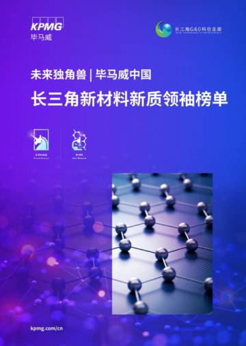 毕马威：中国长三角新材料新质领袖榜单报告.pdf