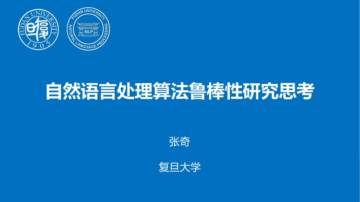 自然语言处理算法鲁棒性研究思考报告.pdf