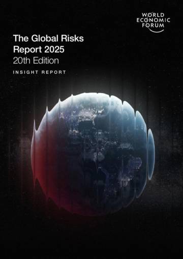 2025年全球风险报告（英文）.pdf