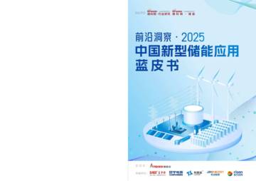 2025中国新型储能应用蓝皮书.pdf