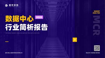 2025年数据中心行业简析报告.pdf