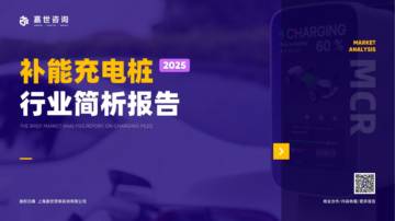 2025年充电桩行业简析报告.pdf