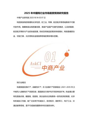 2025年中国钨行业市场前景预测研究报告.pdf