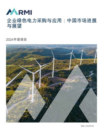 企业绿色电力采购与应用：中国市场进展与展望2024年度报告.pdf