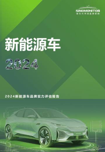 新生代市场监测机构：2024年新能源车品牌实力评估报告.pdf