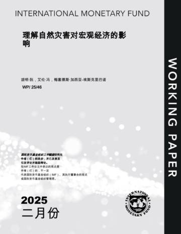 理解自然灾害对宏观经济的影响.pdf