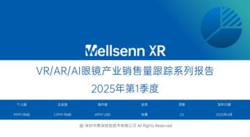 Wellsenn XR季度跟踪报告-2025Q1.pdf