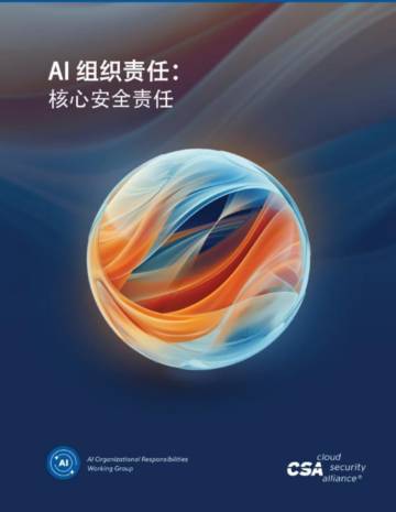 2024年AI组织责任：核心安全责任报告.pdf