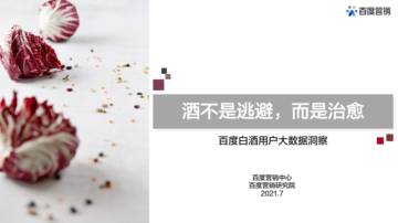 百度白酒用户大数据洞察：酒不是逃避，而是治愈.pdf